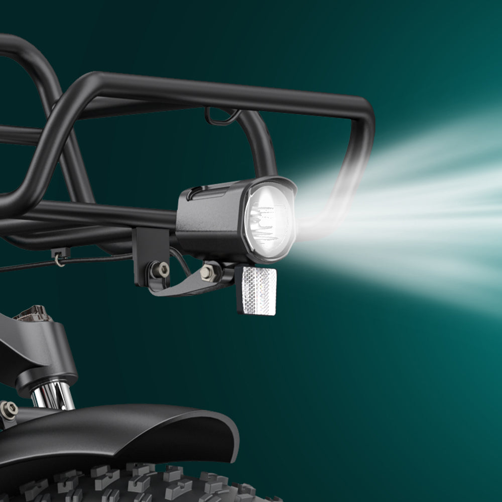 103-Engwe L20 Boost E-Fatbike