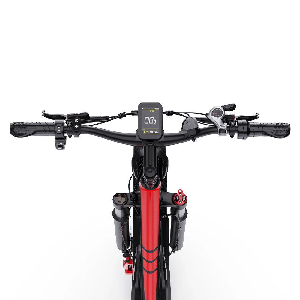 302-DUOTTS S26 E-Bike
