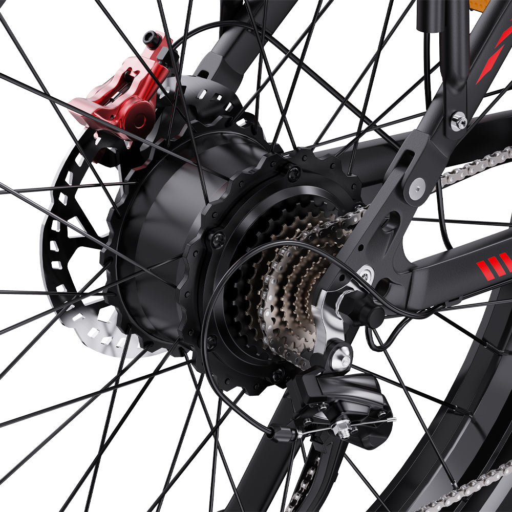 302-DUOTTS S26 E-Bike