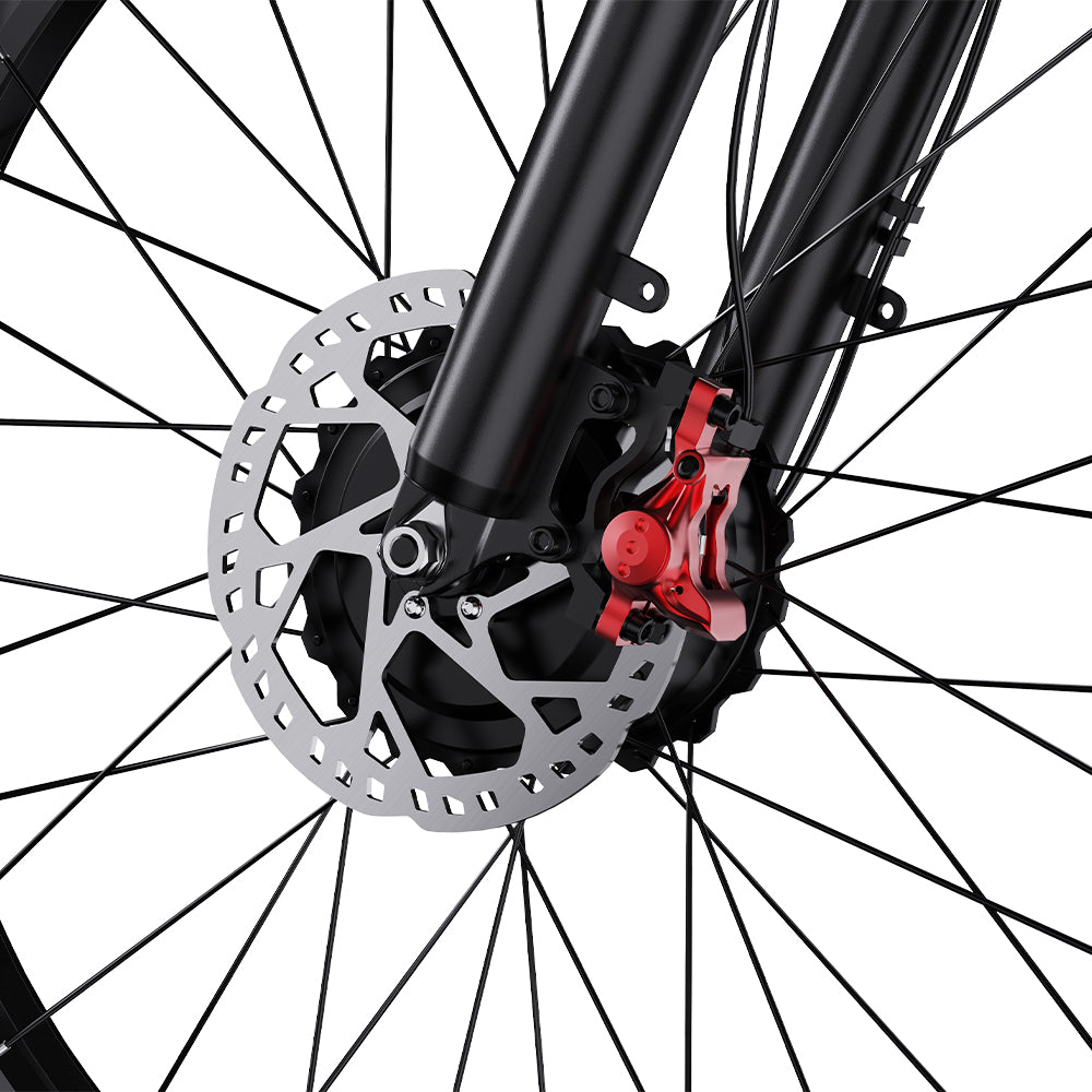 302-DUOTTS S26 E-Bike