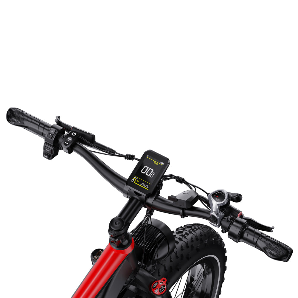 302-DUOTTS S26 E-Bike