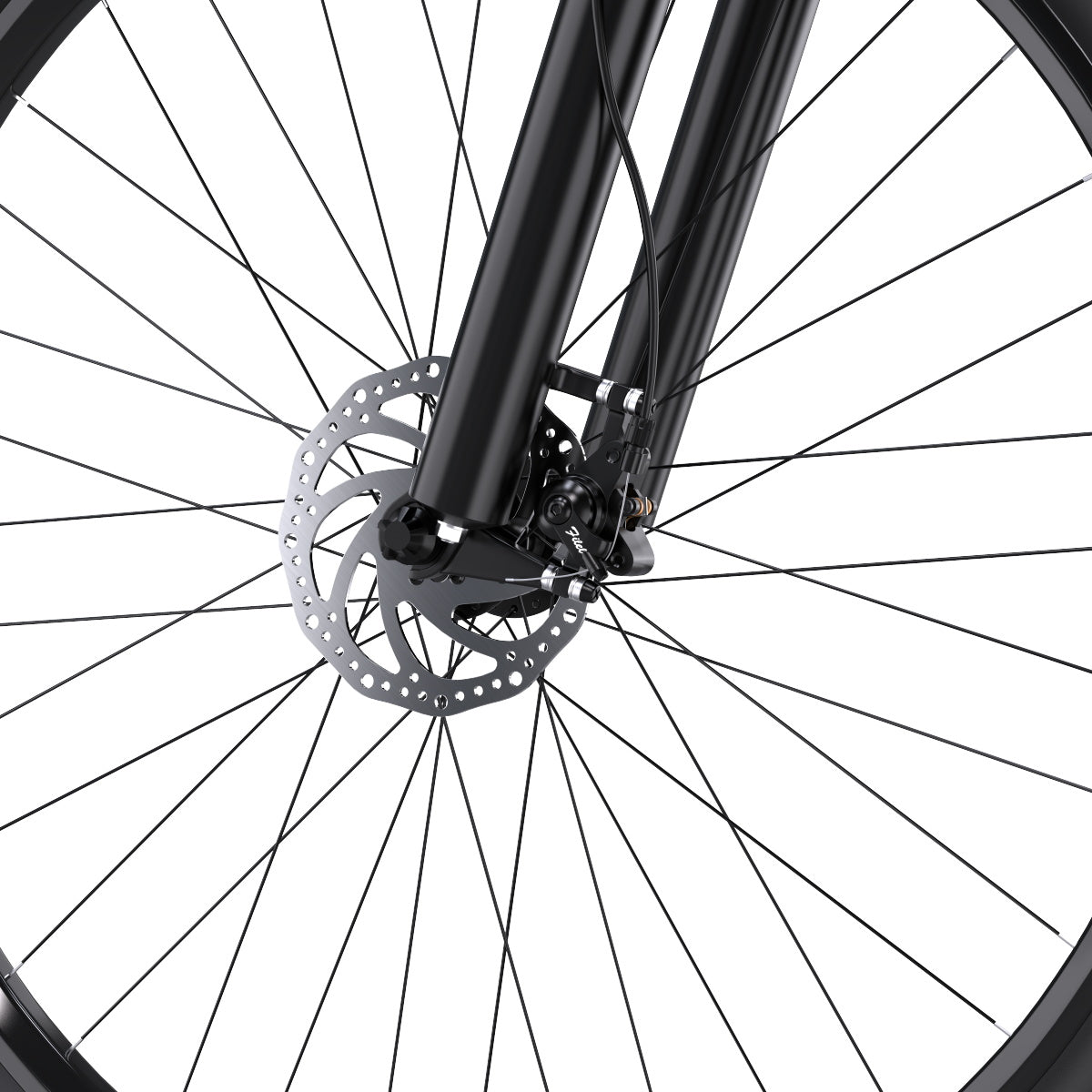 301-DUOTTS C29 E-Bike