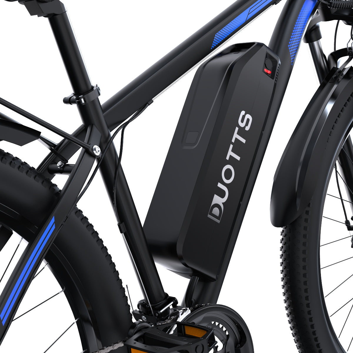 301-DUOTTS C29 E-Bike