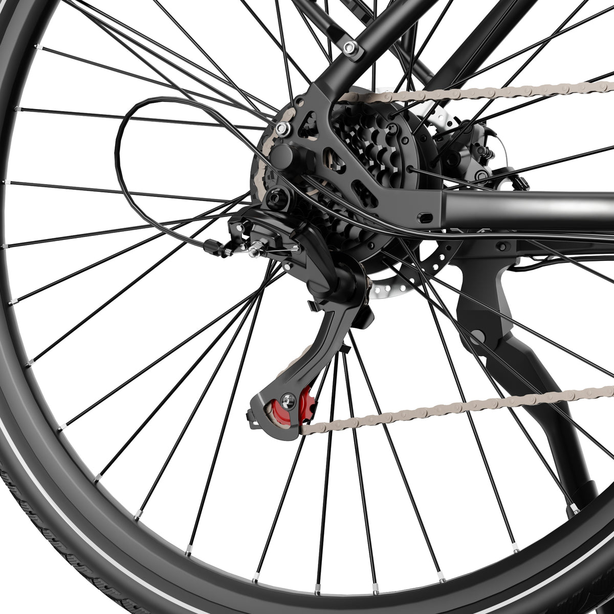 305-DUOTTS C29Lite E-Bike