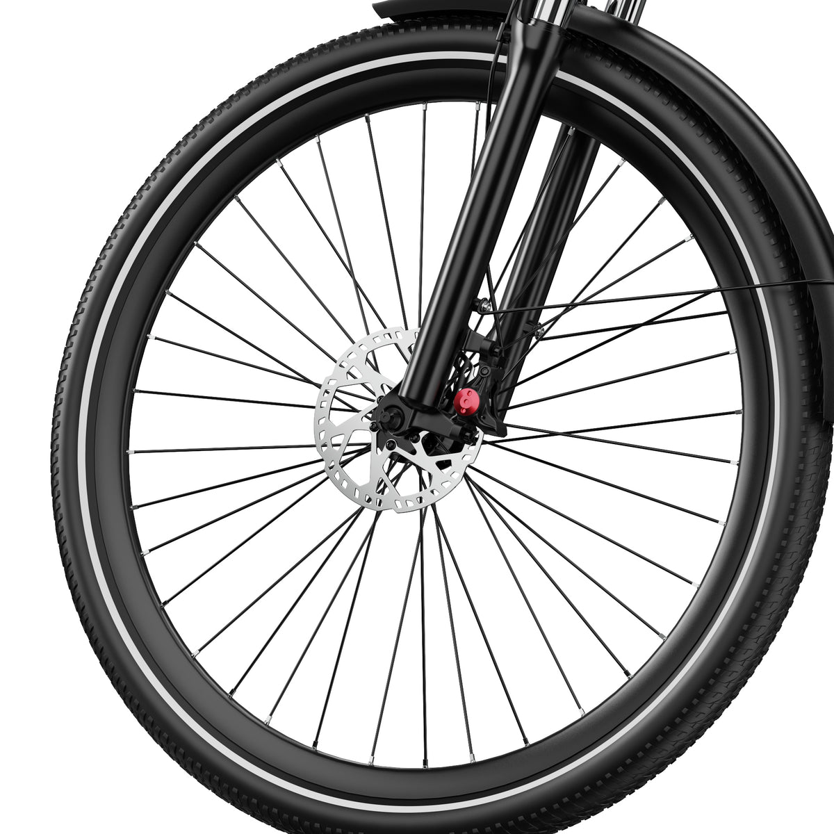 307-DUOTTS C29Max E-Bike