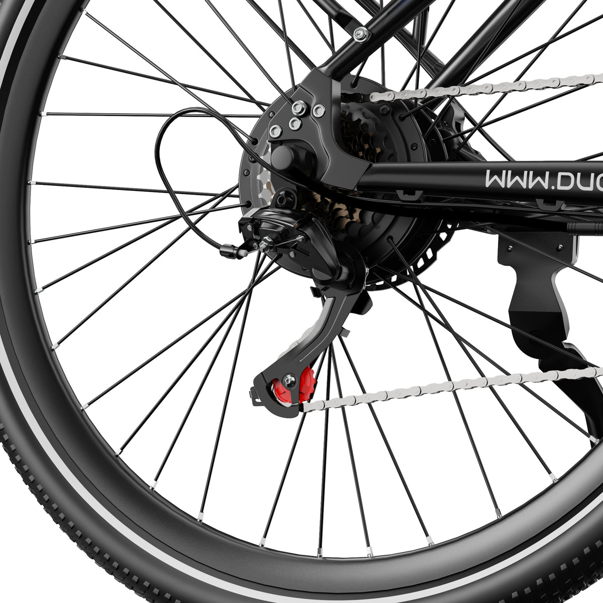 307-DUOTTS C29Max E-Bike