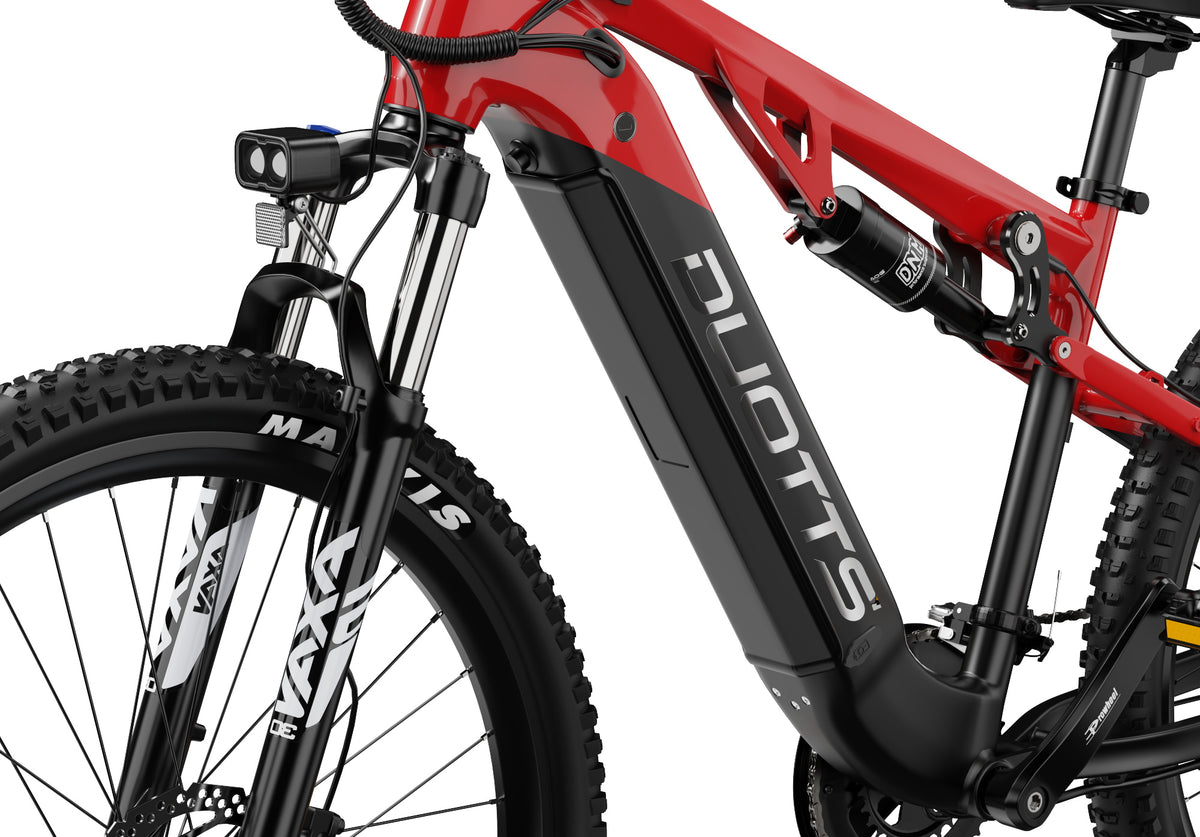 306-DUOTTS E29 E-Mountainbike