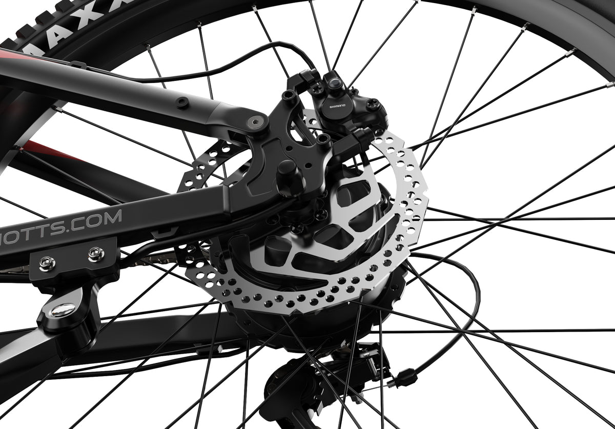 306-DUOTTS E29 E-Mountainbike