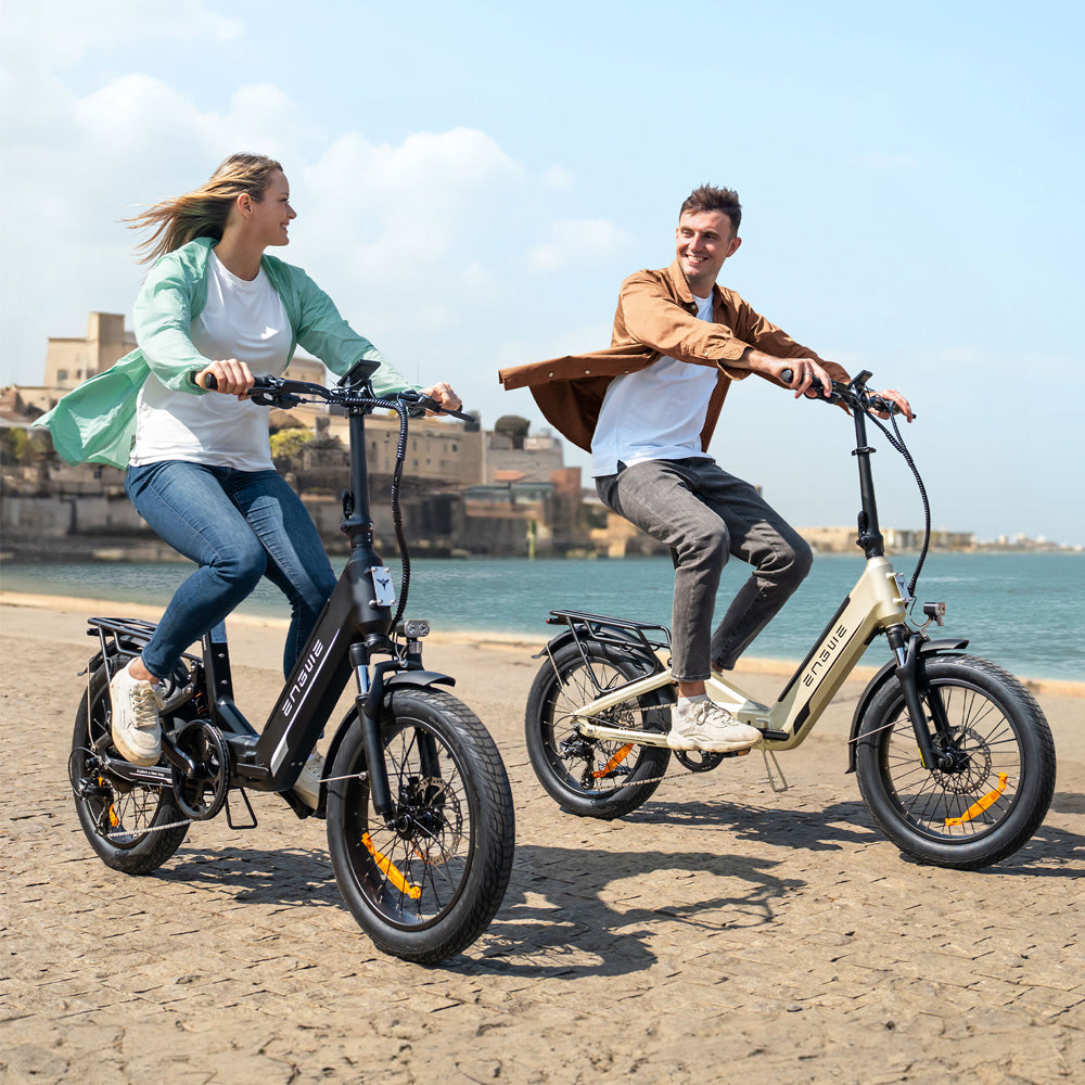 108-Engwe L20 3.0 Boost Faltbares E-Bike