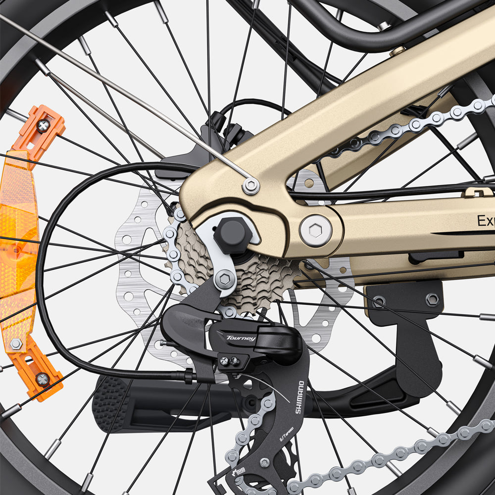 107-Engwe L20 3.0 Pro Faltbares E-Bike