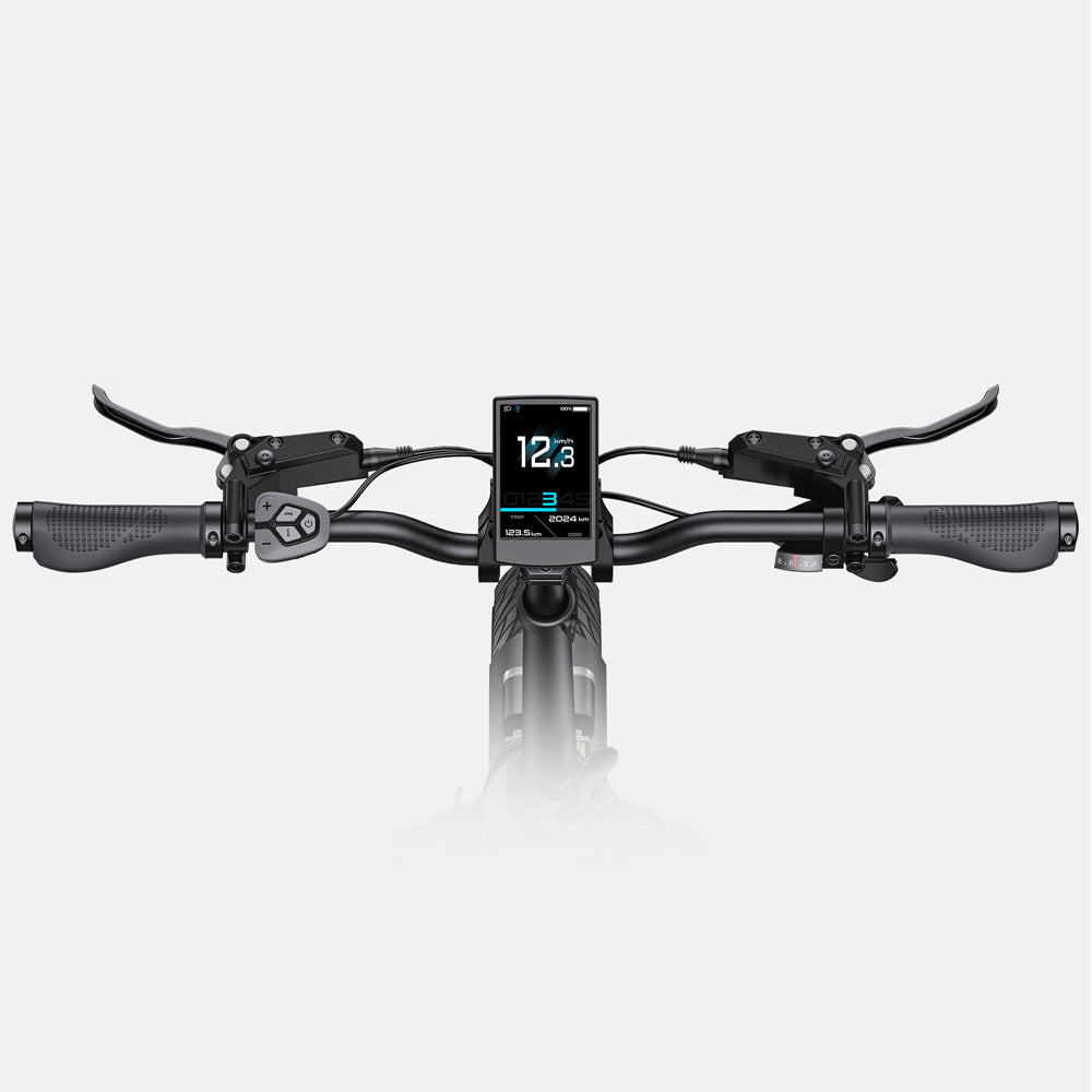 107-Engwe L20 3.0 Pro Faltbares E-Bike