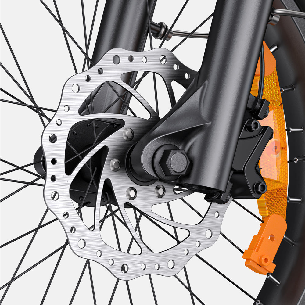 107-Engwe L20 3.0 Pro Faltbares E-Bike