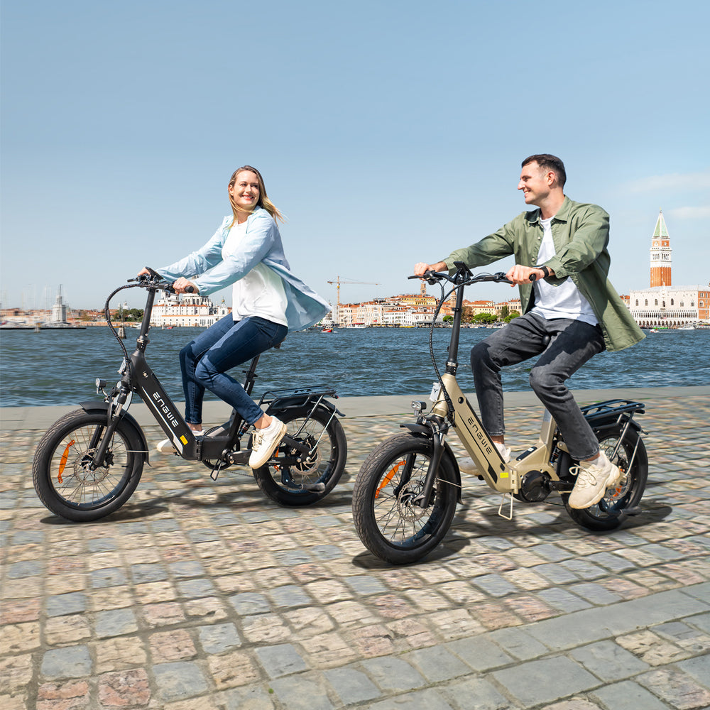 107-Engwe L20 3.0 Pro Faltbares E-Bike