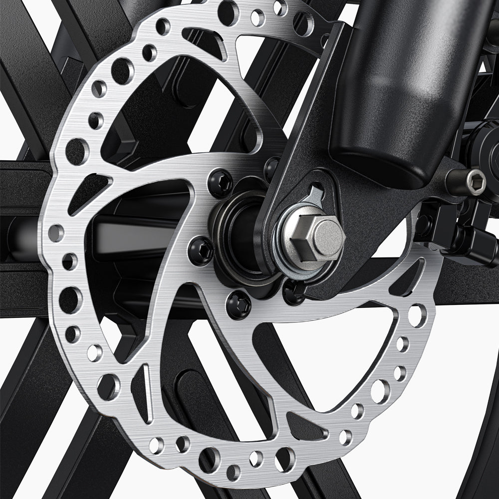 103-Engwe L20 Boost E-Fatbike
