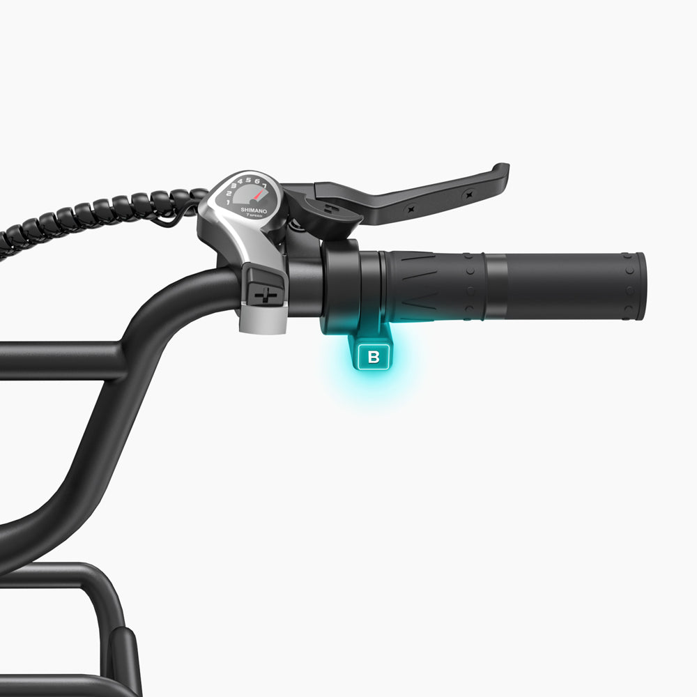 103-Engwe L20 Boost E-Fatbike