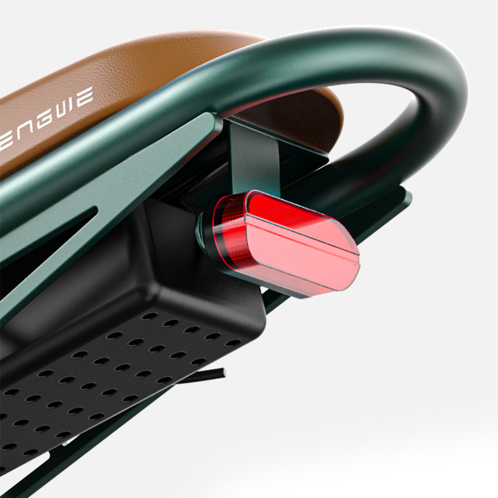 101-Engwe M20 E-Bike