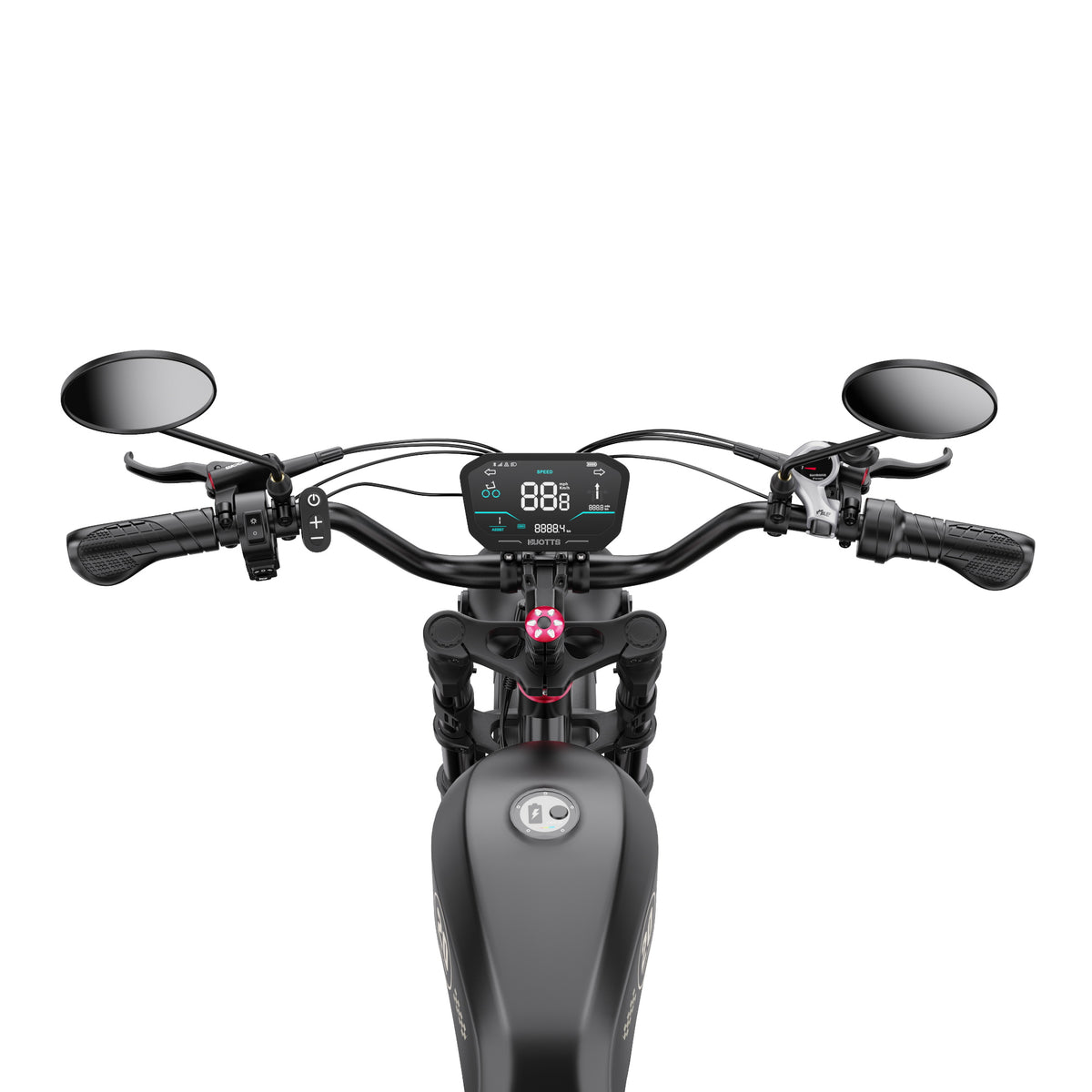 309-DUOTTS F20 E-Bike
