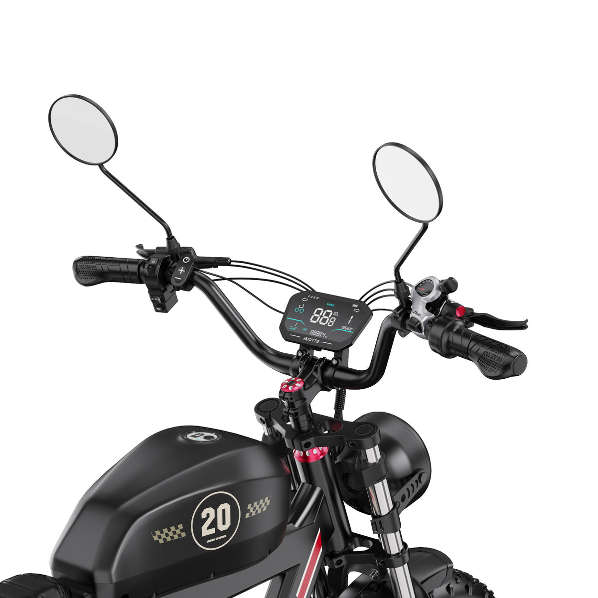 309-DUOTTS F20 E-Bike