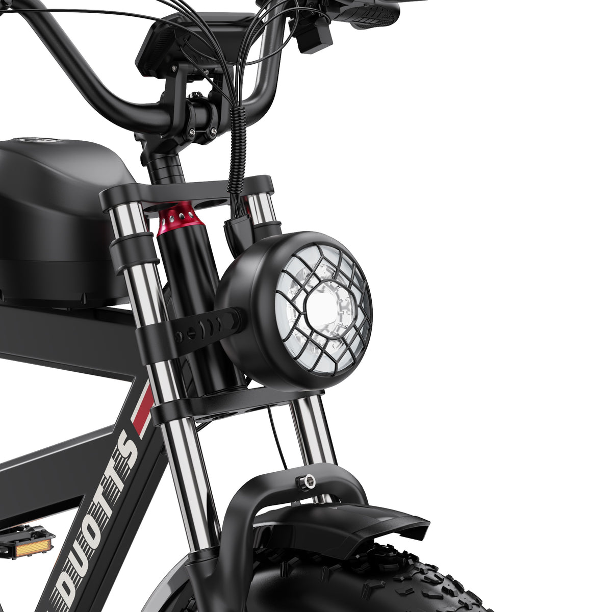 309-DUOTTS F20 E-Bike