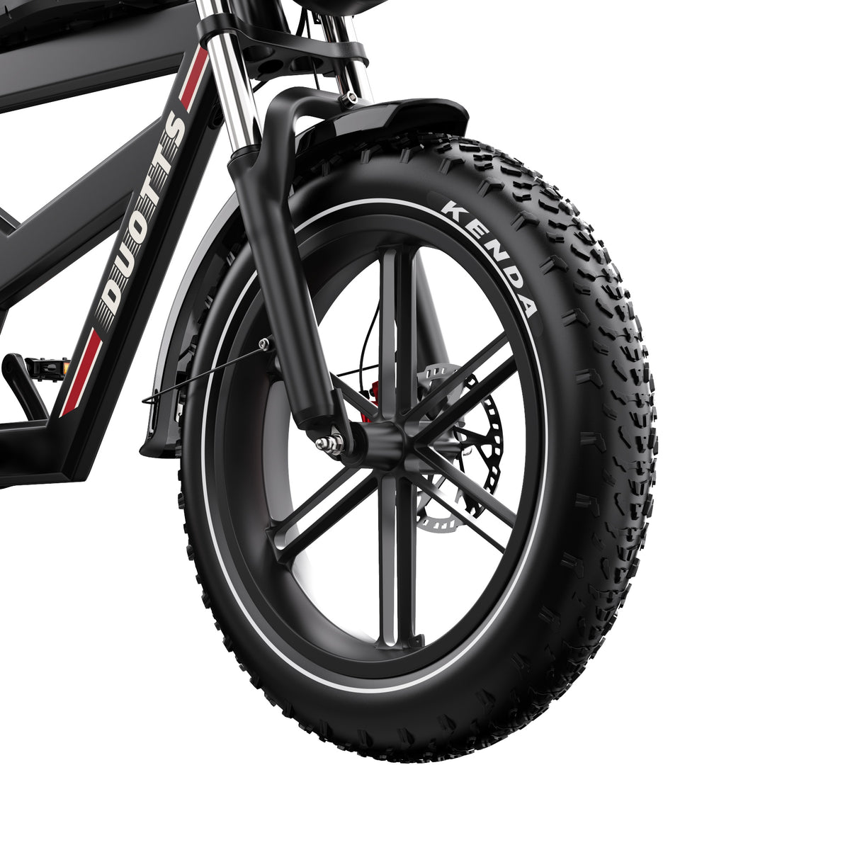 309-DUOTTS F20 E-Bike