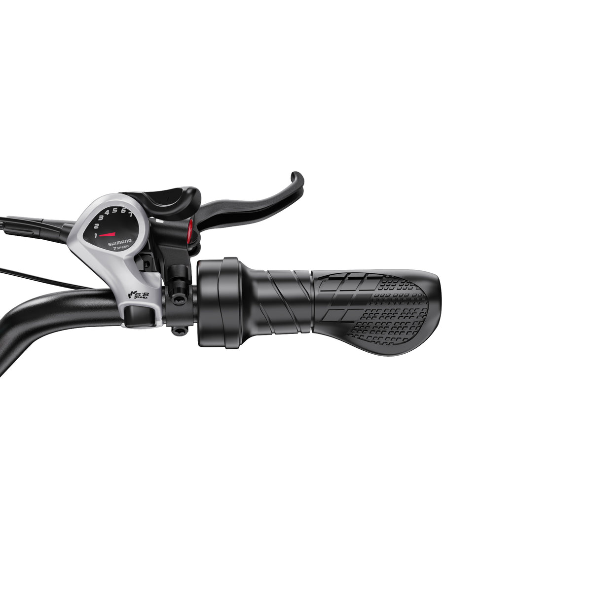 309-DUOTTS F20 E-Bike