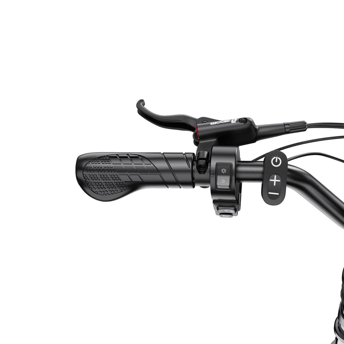 309-DUOTTS F20 E-Bike