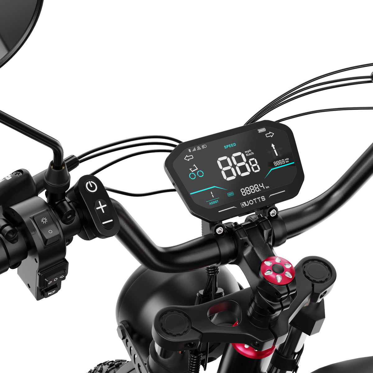309-DUOTTS F20 E-Bike