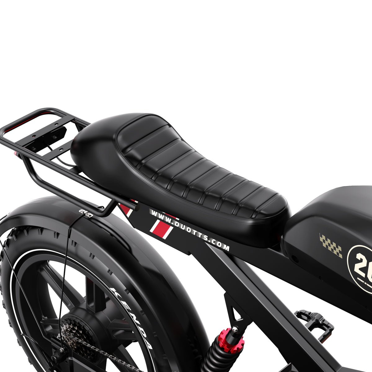 309-DUOTTS F20 E-Bike