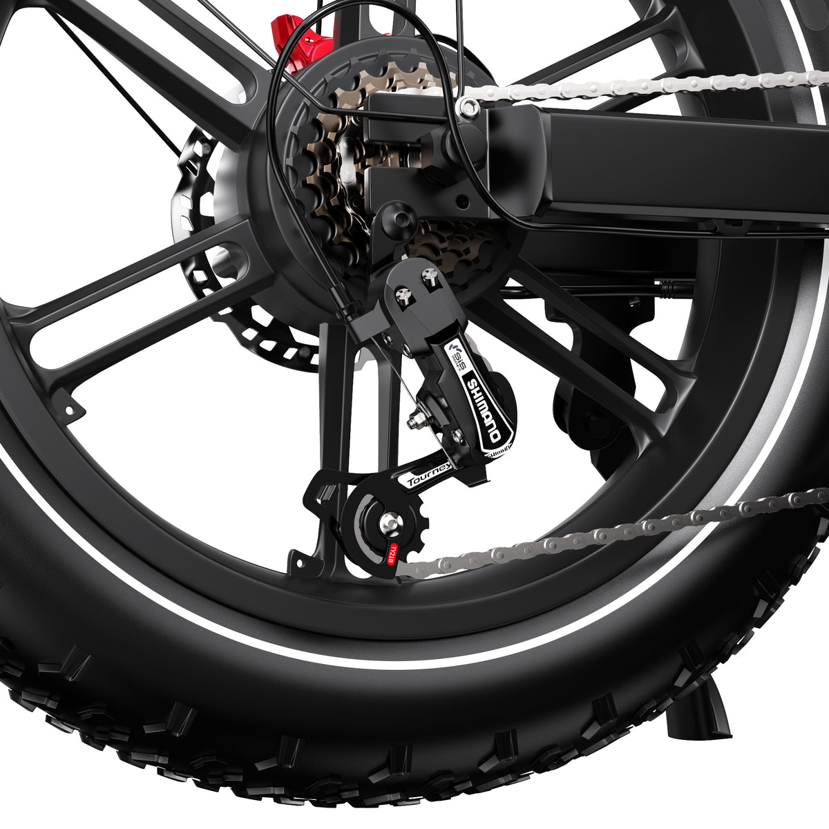 309-DUOTTS F20 E-Bike