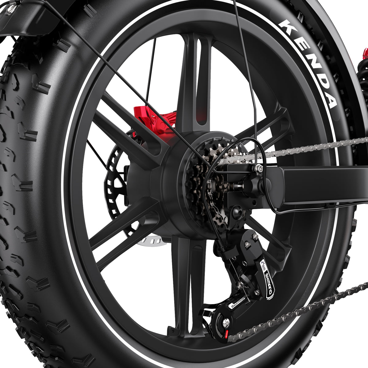 309-DUOTTS F20 E-Bike