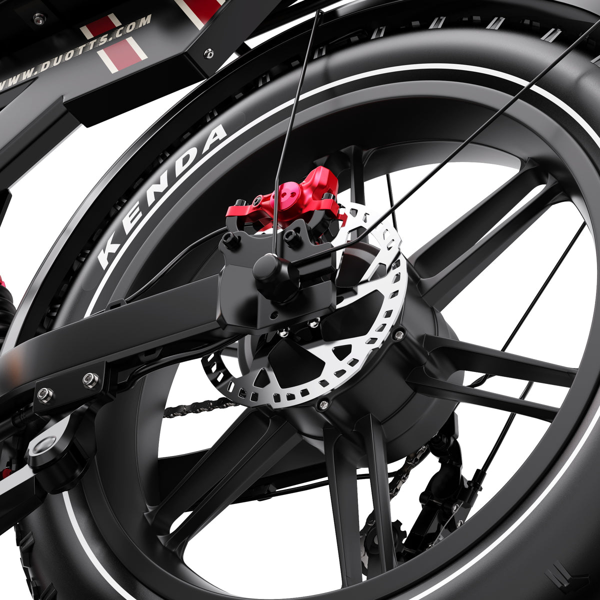 309-DUOTTS F20 E-Bike