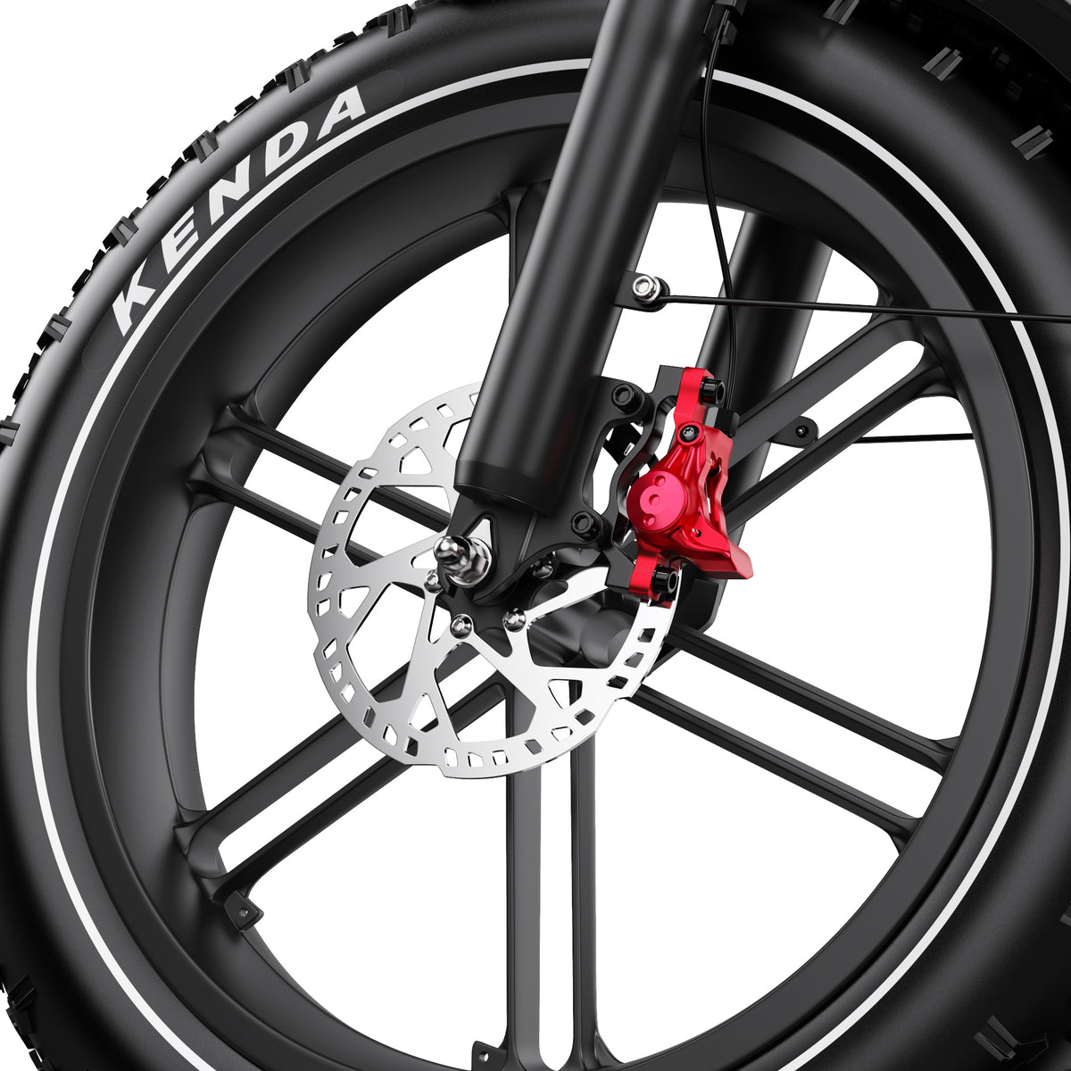 309-DUOTTS F20 E-Bike
