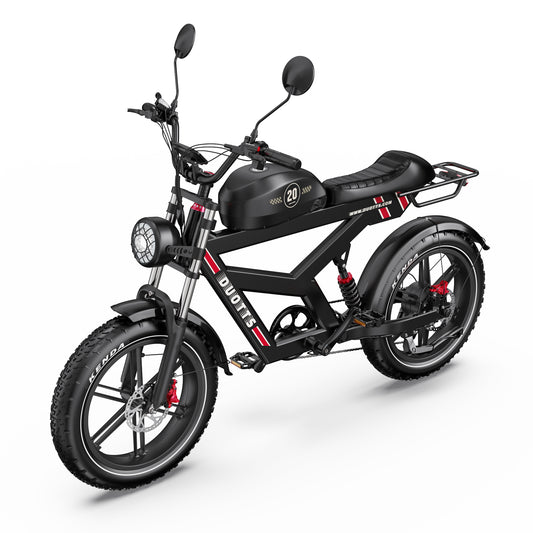 309-DUOTTS F20 E-Bike