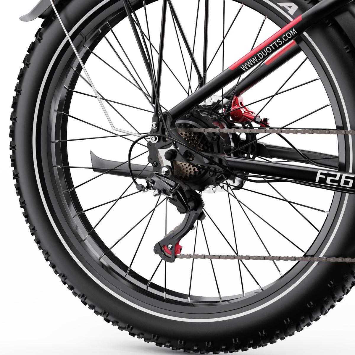 303-DUOTTS F26 E-Bike