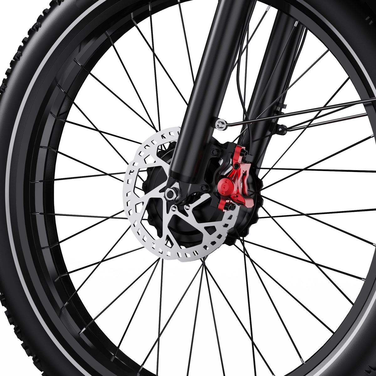 303-DUOTTS F26 E-Bike