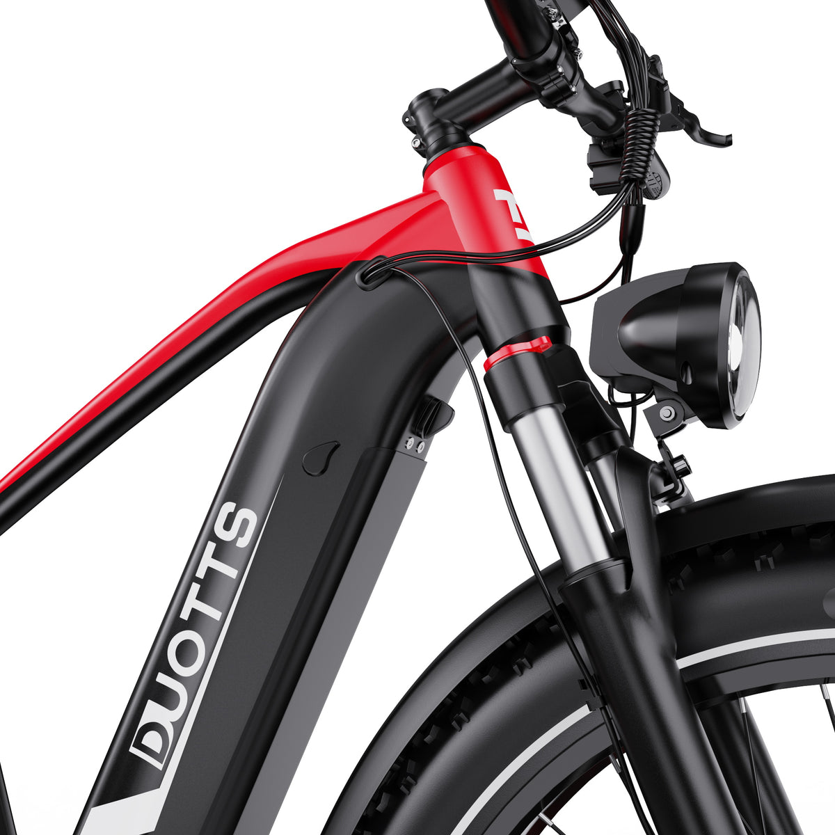 303-DUOTTS F26 E-Bike