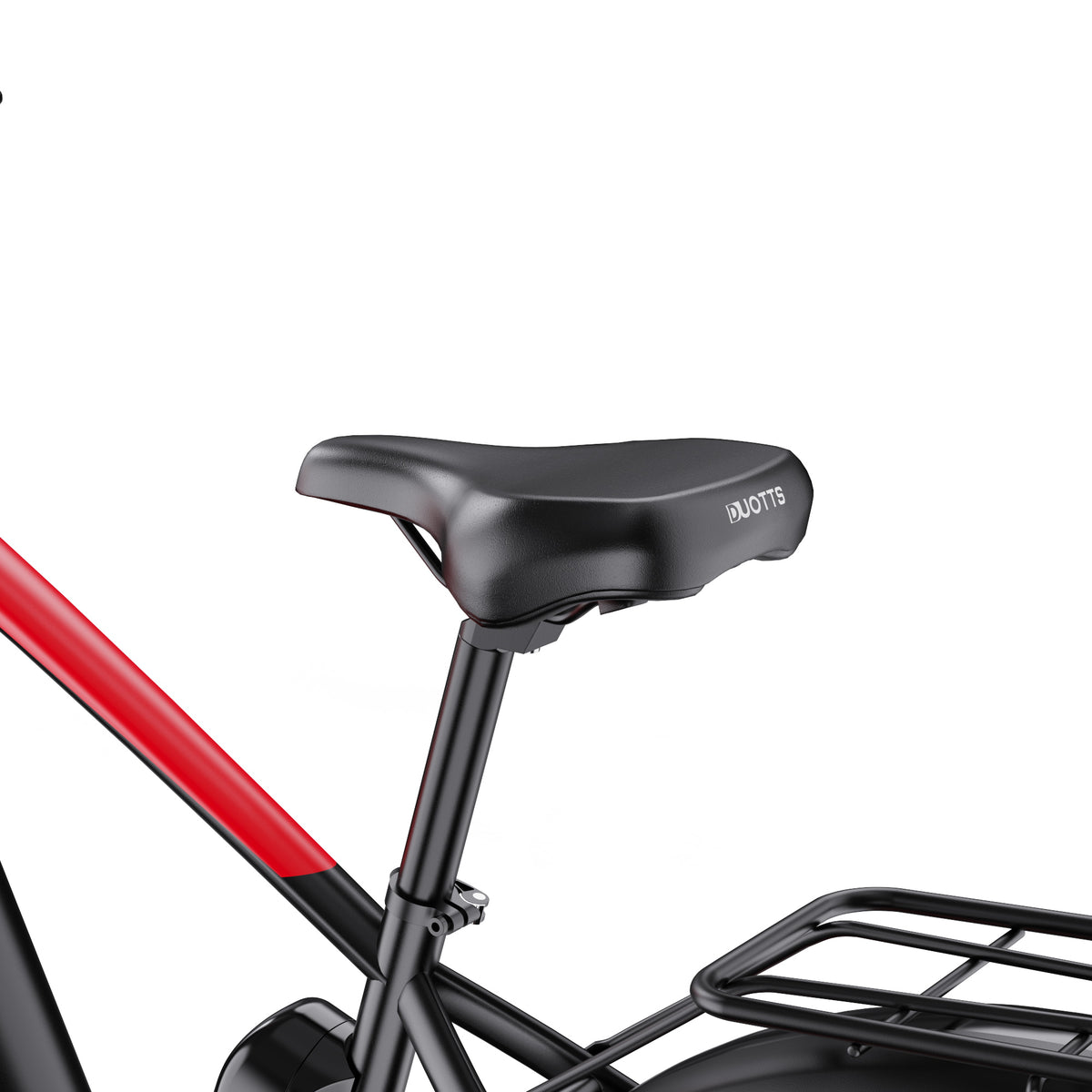 303-DUOTTS F26 E-Bike