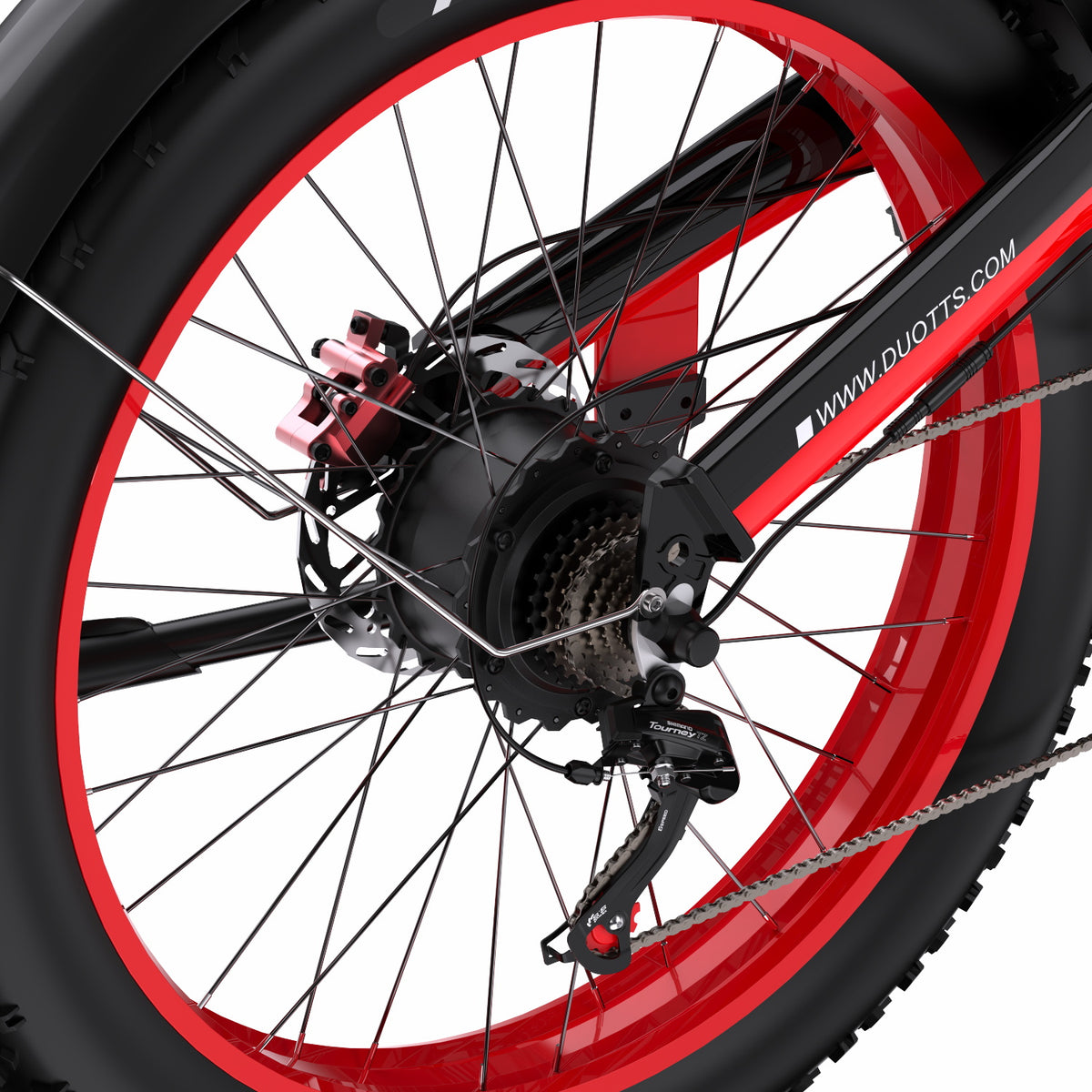 304-DUOTTS N26 E-Bike