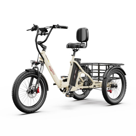 210-Onesport OT30 Pro Elektro-Dreirad