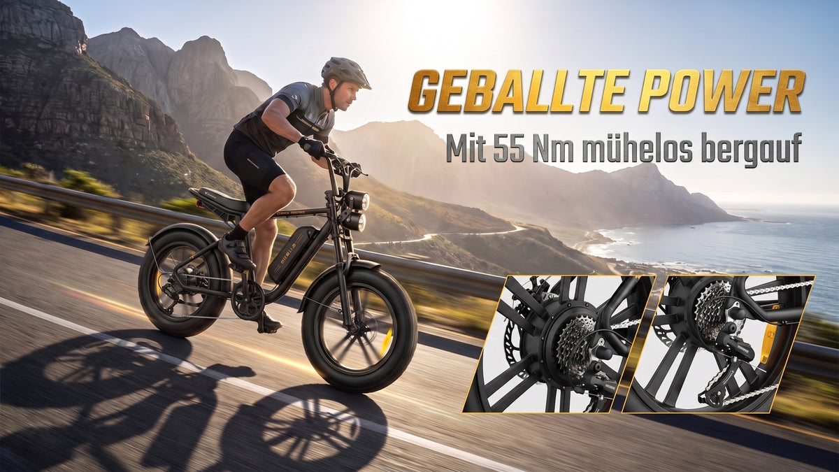 高能电机澎湃扭矩与Shimano 7速传动